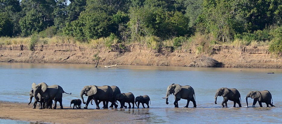 Safari and tours to Zambia 